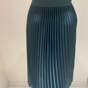 H&M Pleated Skirt